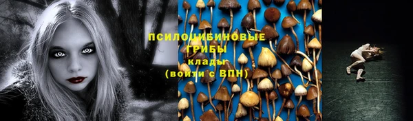 шишки Богданович